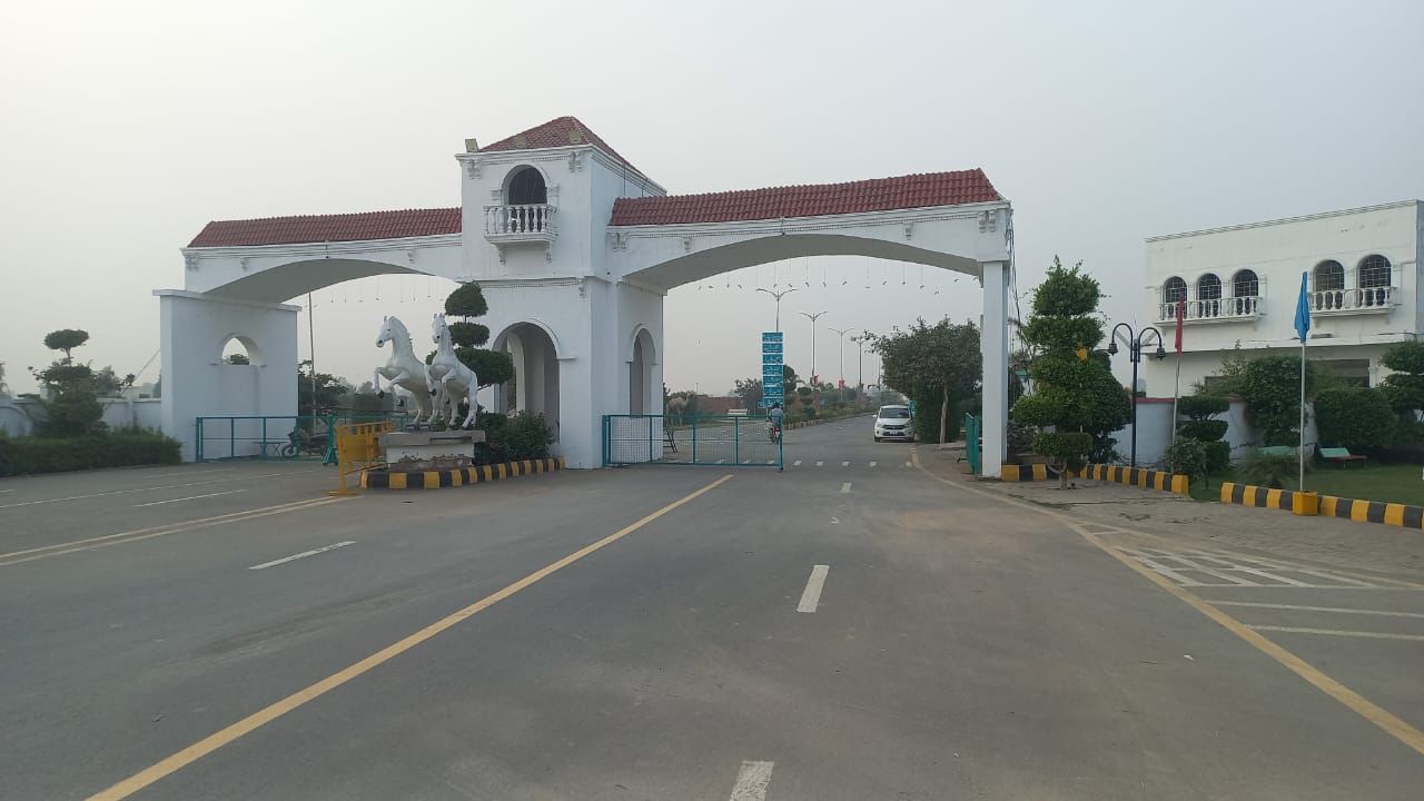 WhatsApp Image 2025-05-29 at 16.46.00 (2)